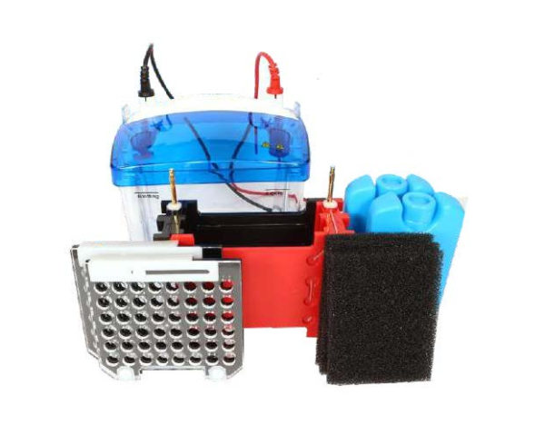KLABS Western Blotting Apparatus